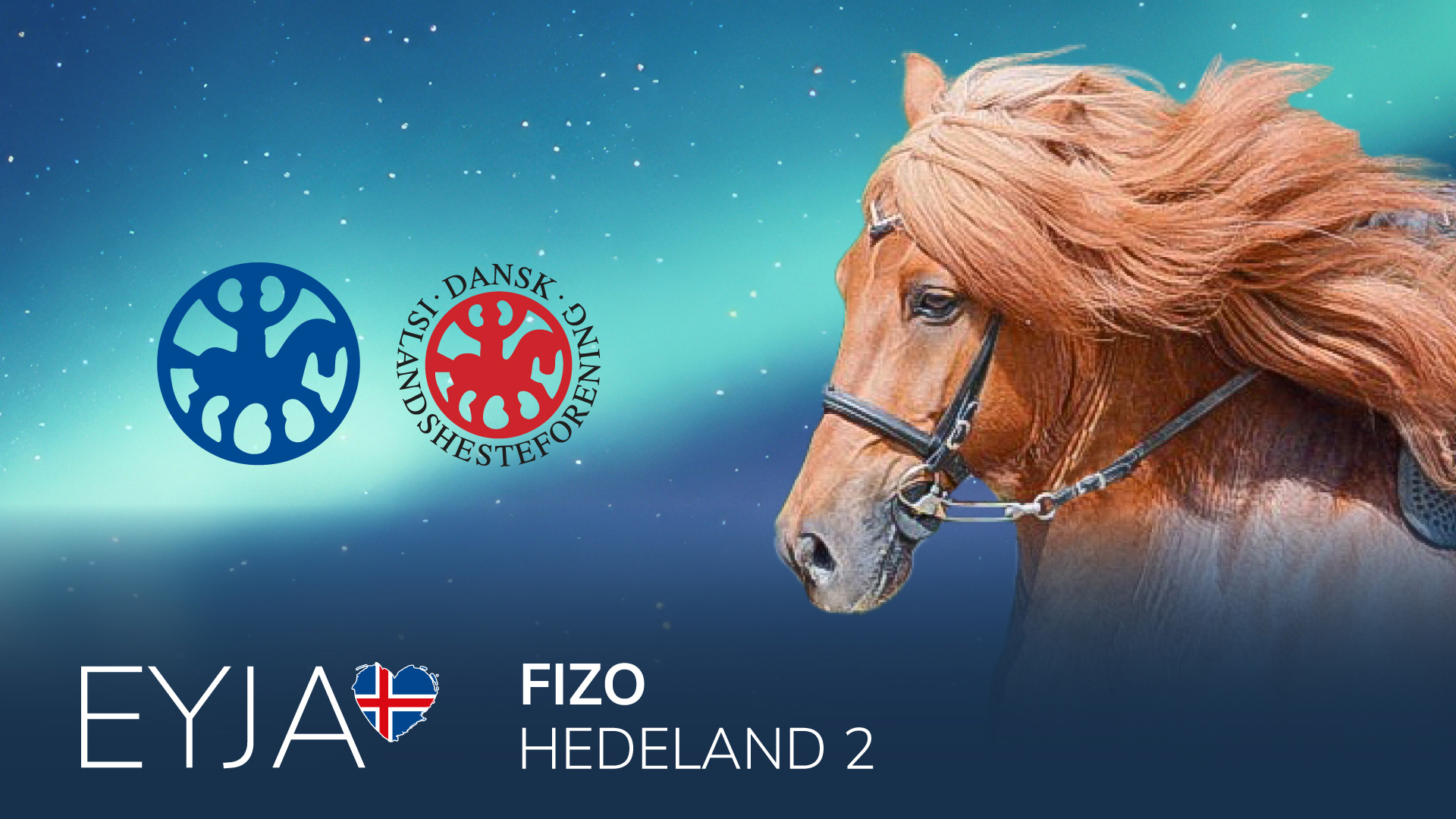 FIZO Hedeland 2026 2