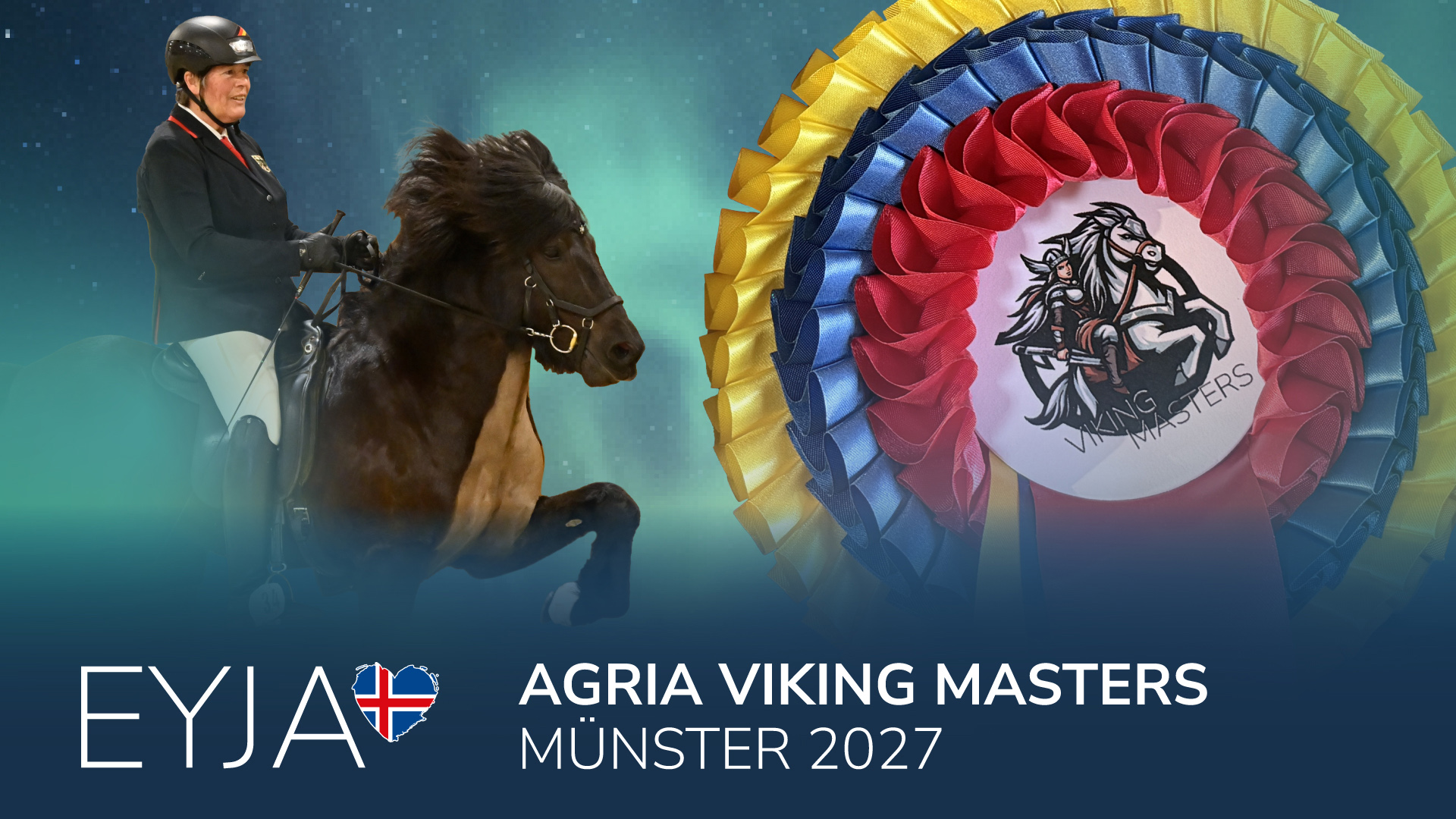 Agria Viking Masters Münster